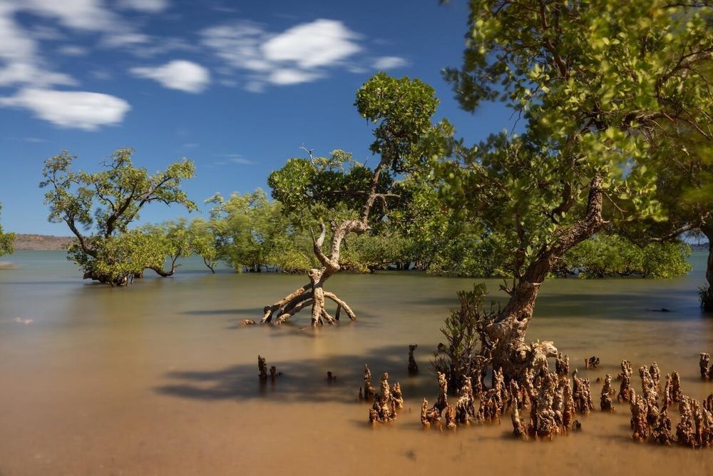 Miarakap receives grant support from The Dutch Fund for Climate and Development (DFCD) to launch the Mitsiry Biodiversity and Climate Fund (MBCF)